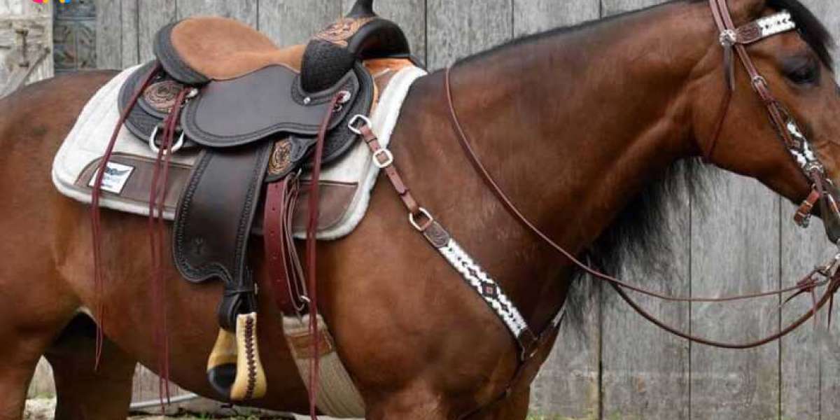 Customizing Your Horse Saddle?