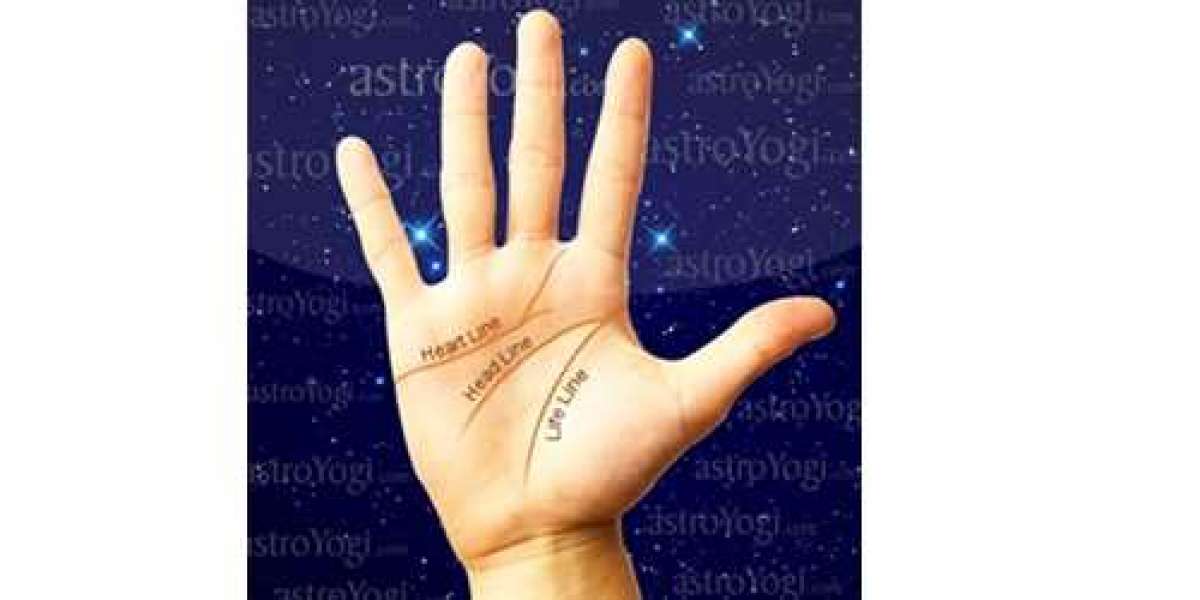 Best Astrologer in Delhi