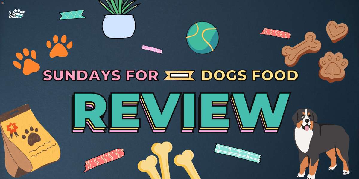 Positive and Negative Sundays Dog Food Reviews