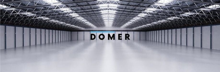 Domer Cover Image