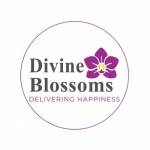 Divine Blossoms Orchid Boutique Profile Picture
