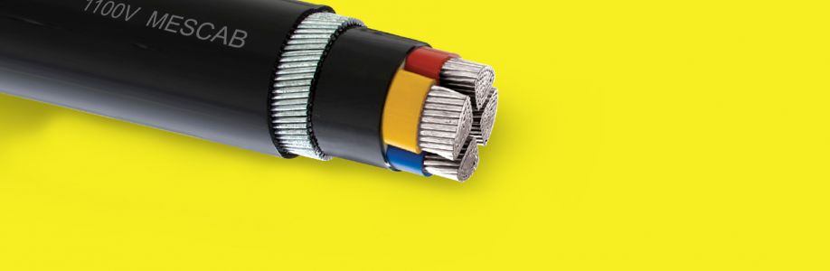 Mescab SmartLiving Cover Image