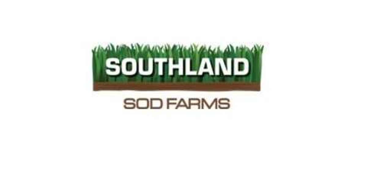 Southland Sod Farms: Your Premier Source for Quality Sod