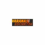 Varanasi Escort Profile Picture