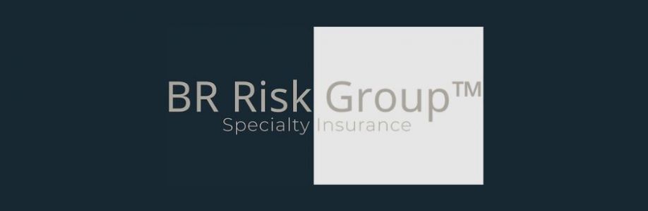 BR Risk Group Specialty Insurance Cover Image