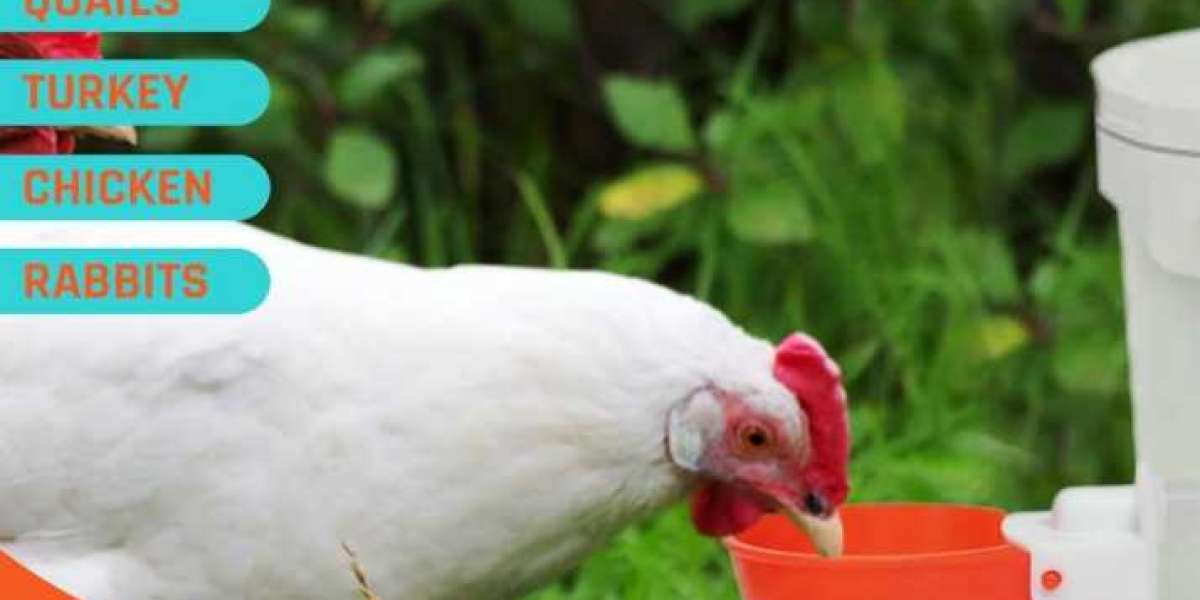 Chikinsip: Quenching Poultry Thirst with Innovation