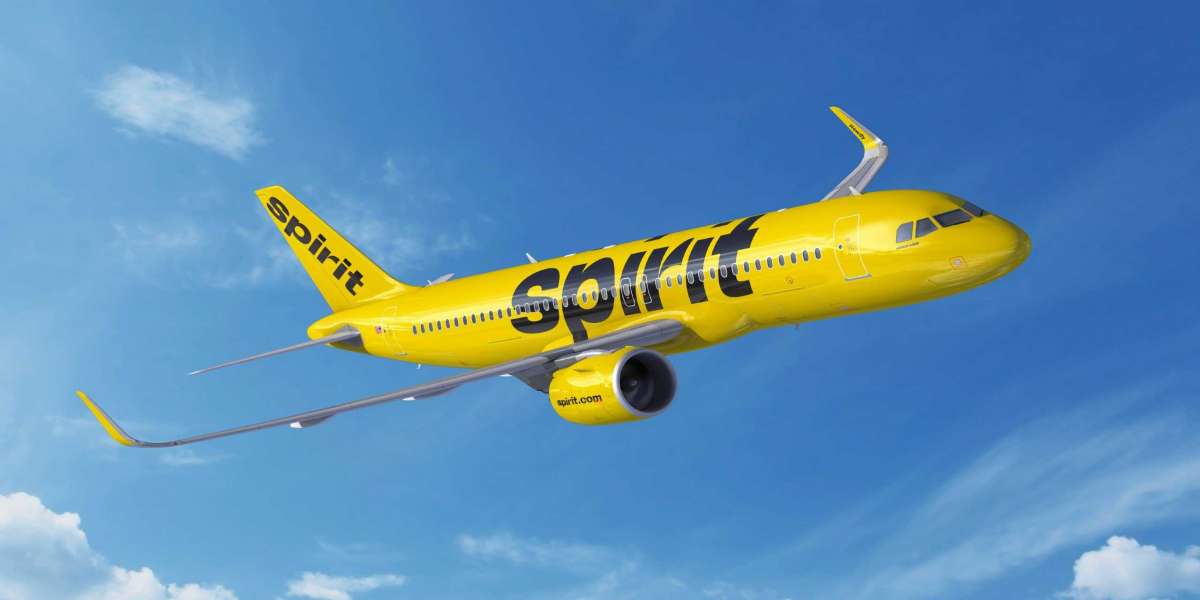 How Can I Contact Spirit Airlines?