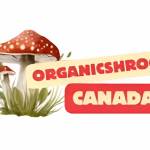 Organic Shroom Canada Profile Picture