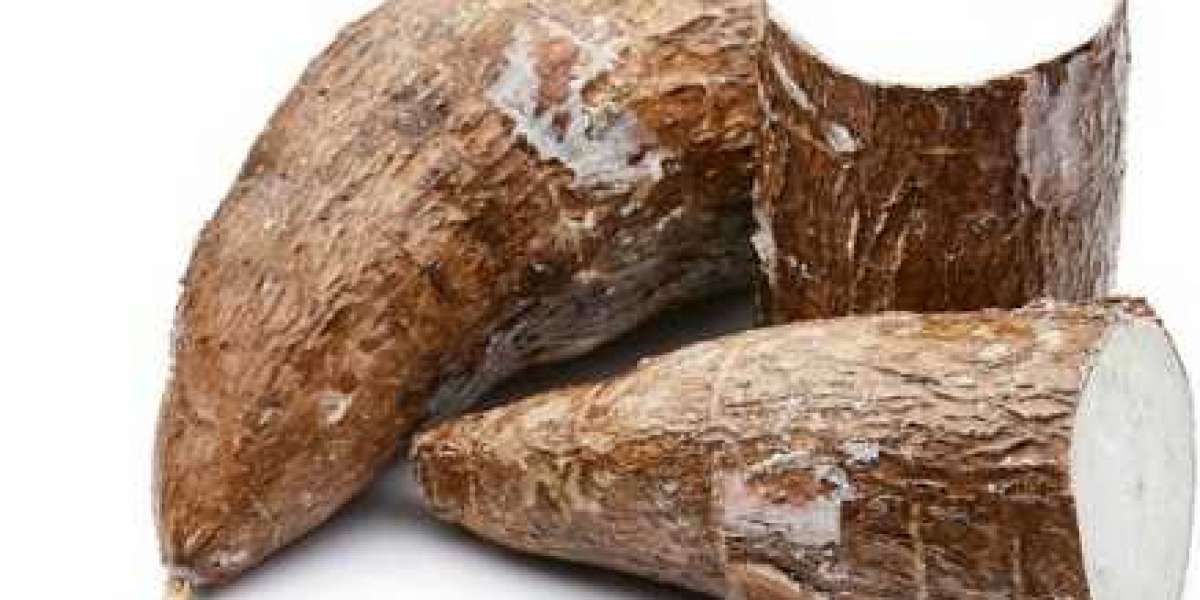 Europe Cassava Market Outlook with Investment, Gross Margin, and Forecast 2032
