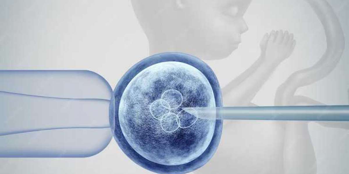 Understanding the Potential Connection Between IVF and Cancer