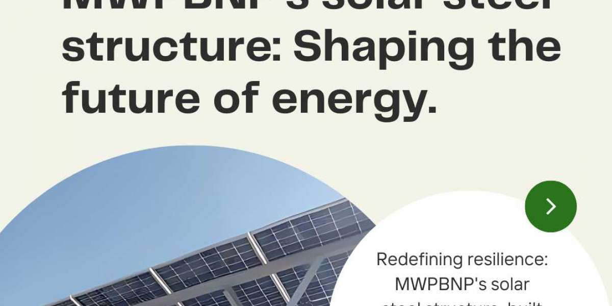 Unleash the Power of the Sun: MWPBNP's Solar Panel Mounting Systems