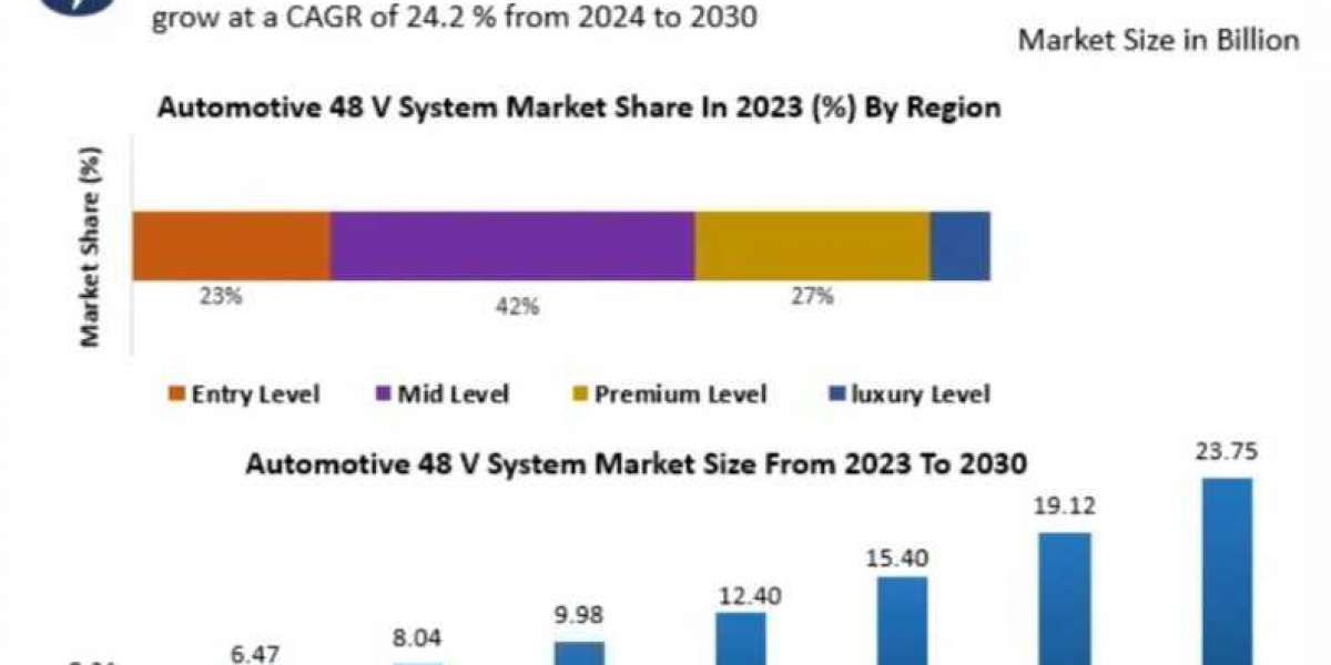 Automotive 48V System Market Outlook, Report, Size, Share, Price, Trends, Growth, Analysis, Forecast 2024-2030