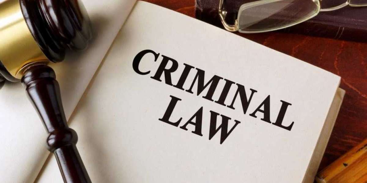 What is the role of an expert criminal defense lawyer in Sydney?