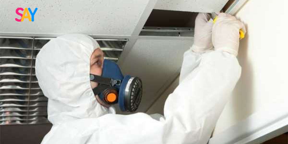 Protecting Your Family: The Value of Residential Asbestos Testing