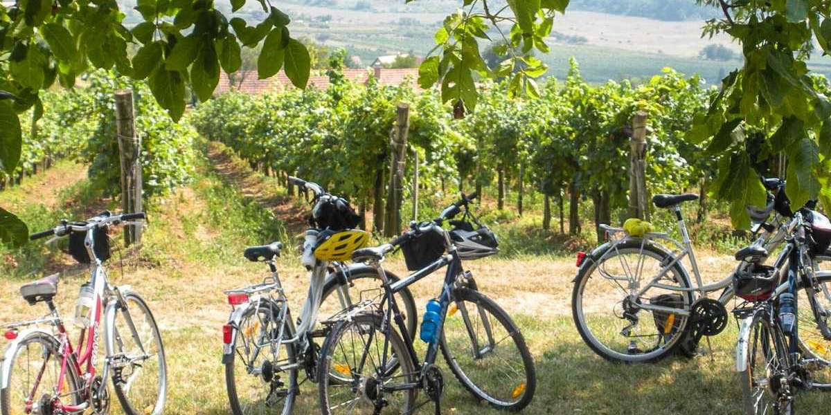 Bicycle Tours in France: A Journey Through Beauty and Culture