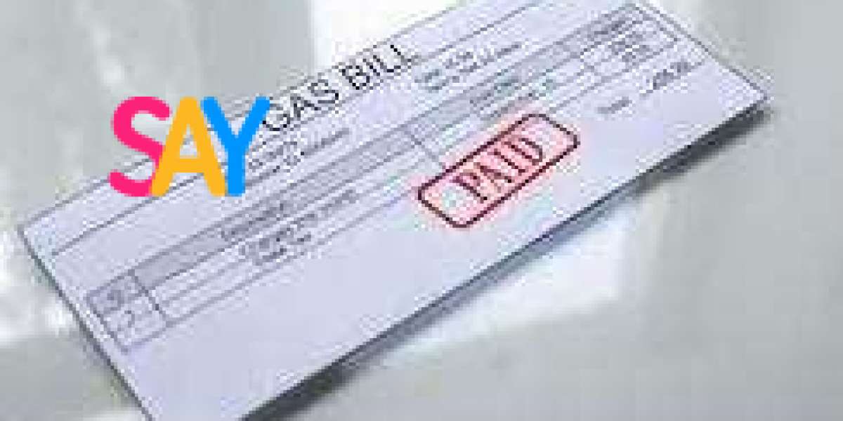 Quick and Secure SNGPL Online Bill Check Services at Suigasebills.pk