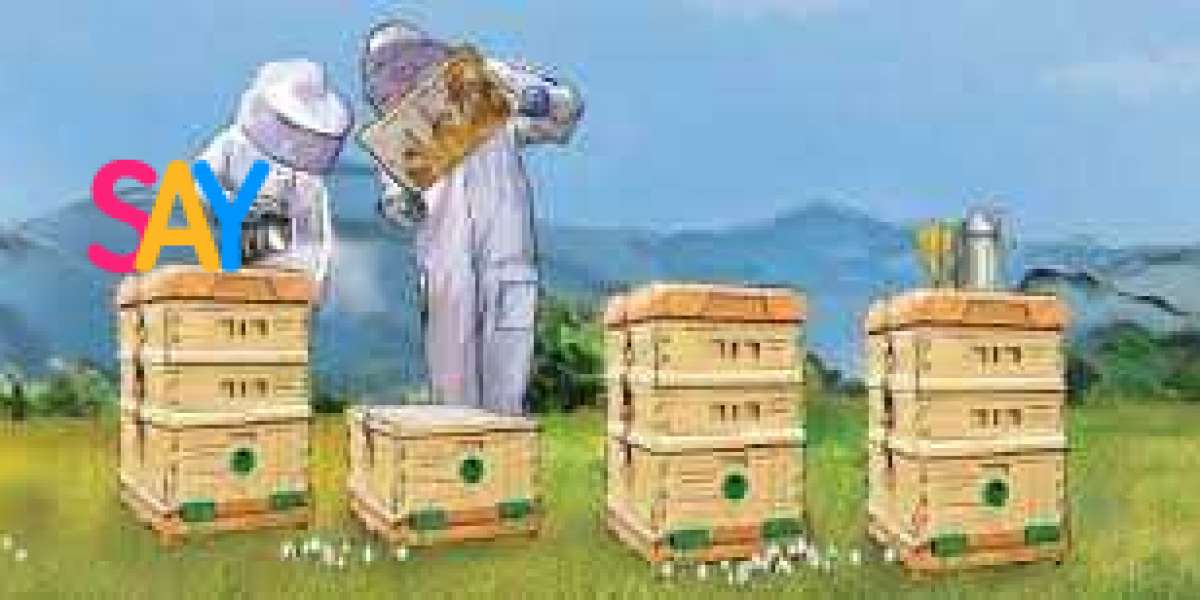 Bee Removal in Casa Grande, AZ: Safe Solutions for Your Home with LMS Pest Solutions LLC