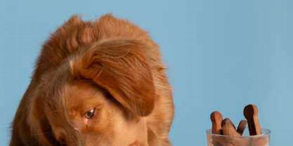 Can Dogs Eat Pork Meat? A Comprehensive Guide for Pet Owners