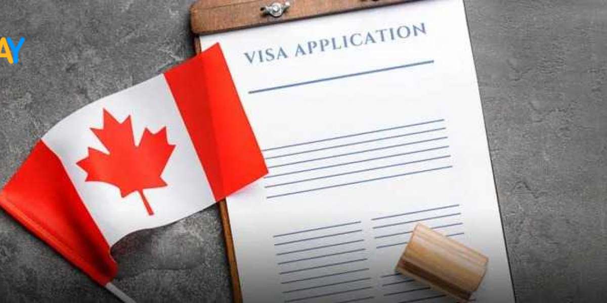 Top Immigration Consultant Near Me That Can Help You Succeed Made Easy