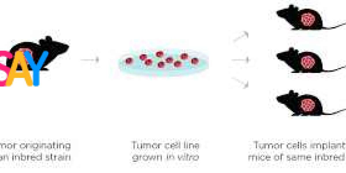 Tumor Models: Revolutionizing Cancer Research and Treatment