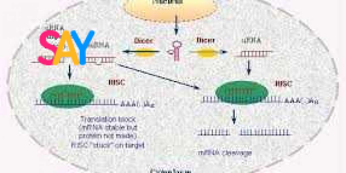 RNA Interference: A Molecular Tool with Endless Potential