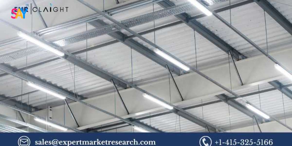 Organic LED Market: Trends, Growth, and Future Prospects (2025-2034)