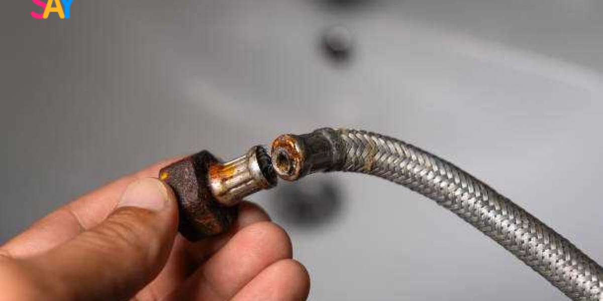 Choosing the Right Replacement Hose for Your Kitchen