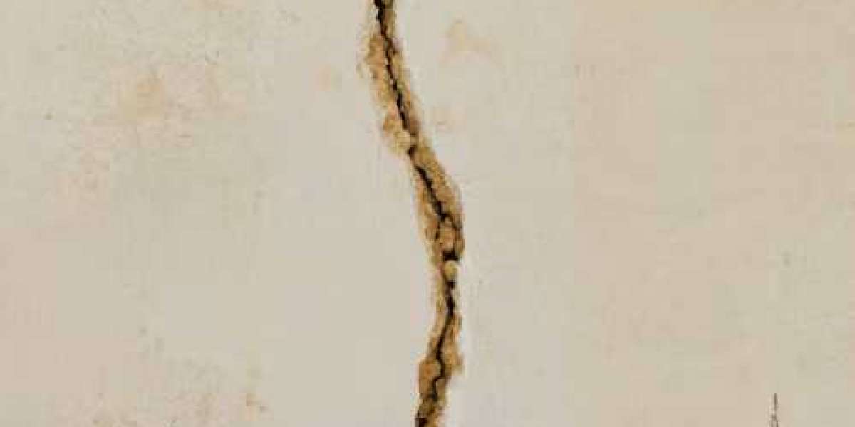 Article Picture