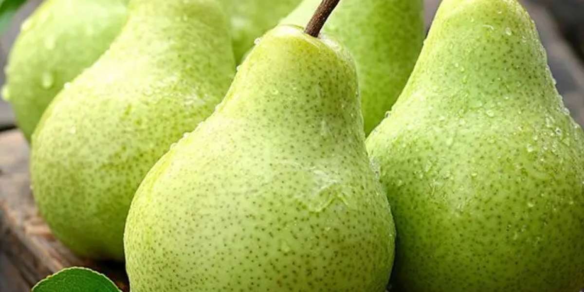 Key Steps for Setting Up a Pear Processing Plant: Comprehensive Business Plan