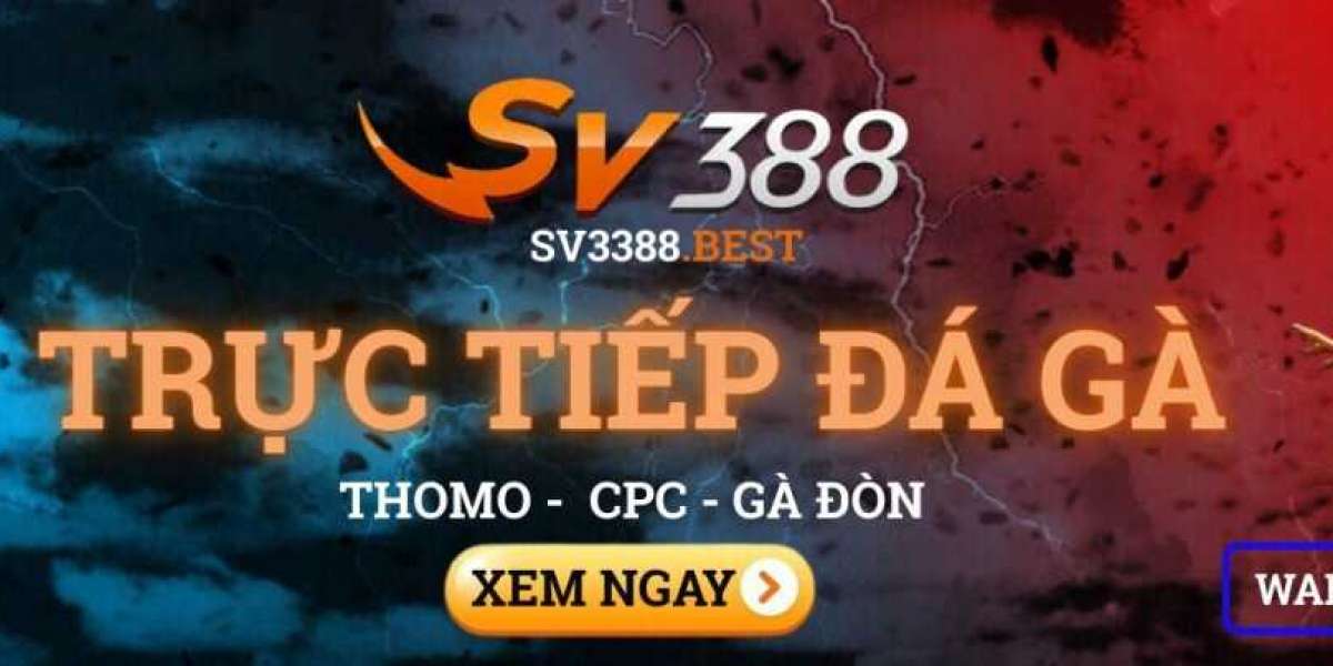 Exploring the SV388 Platform: Features and Benefits