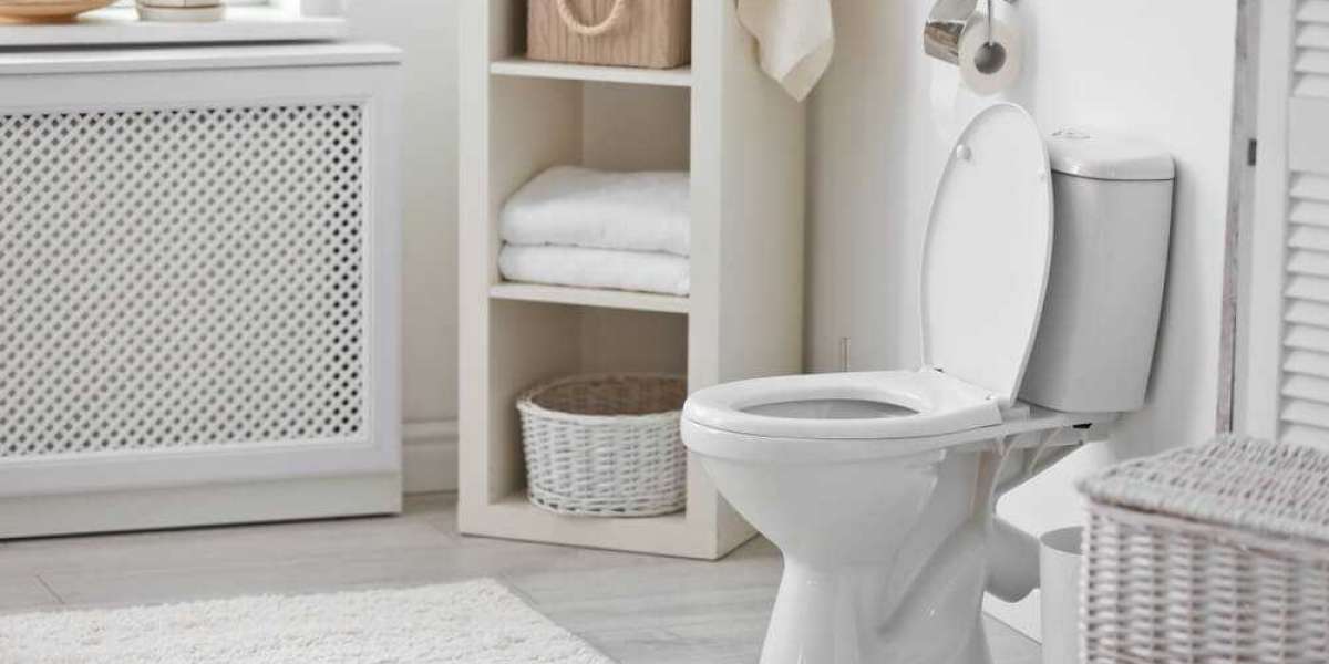 Your Local Dorchester Plumber’s Advice on Toilet Blockage Prevention