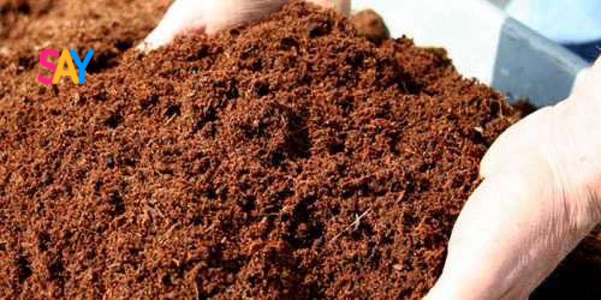 8 Key Factors to Establish a Successful Coconut Shell Powder Plant: Raw Materials Requirement
