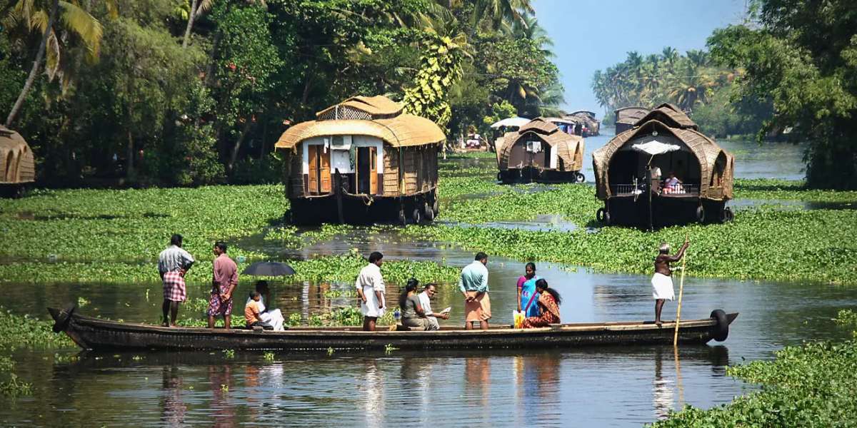 Top Reasons to Visit Kerala in 2025