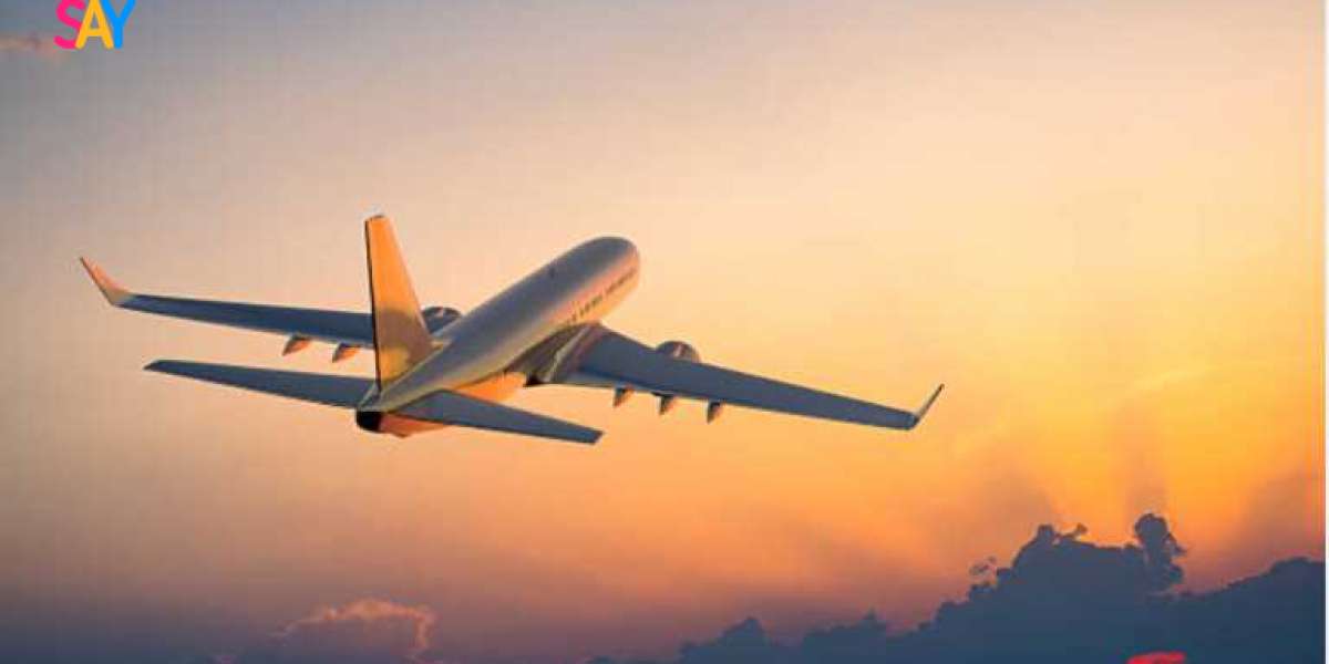 What Are the Requirements for American Airlines Student Discounts?