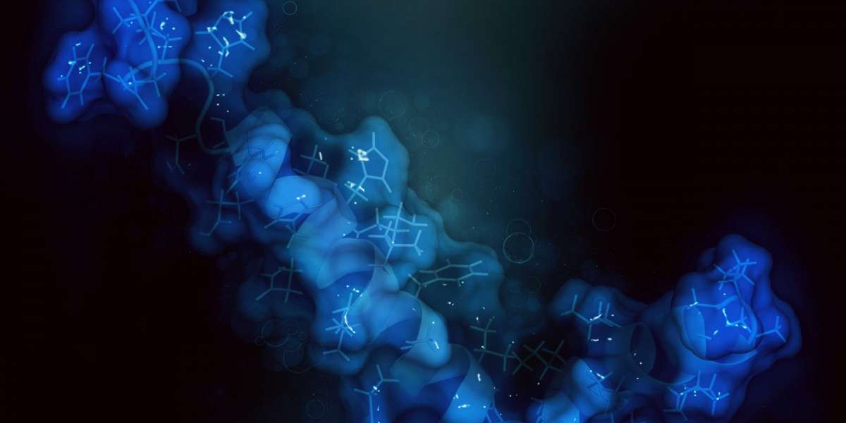 Immortalized Human Podocytes: A Breakthrough in Renal Research