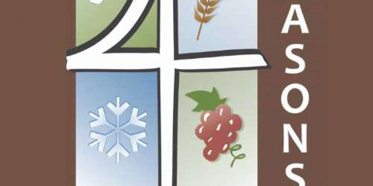 Achieve a Healthy Smile with 4Seasons Dentalmf: Mini Dental Implants and Needle-Free Dentistry in Milton-Freewater, OR