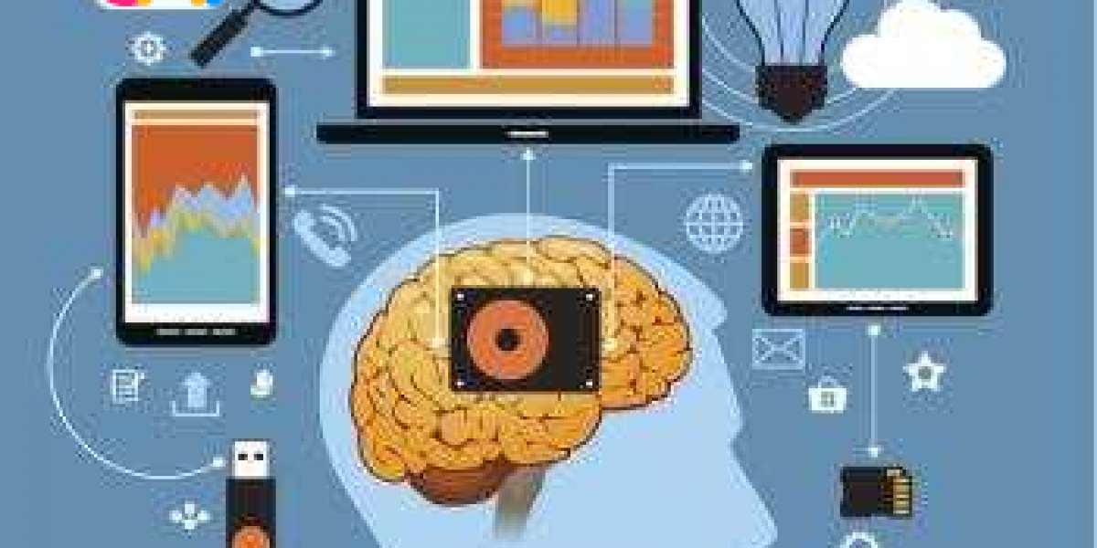 Unlocking Cognitive Potential: Brain Training Software Market Outlook 2025–2034