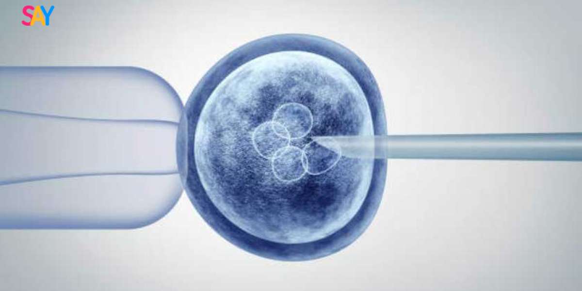 Stem Cells Treatment in Dubai: Revolutionizing Healing and Rejuvenation