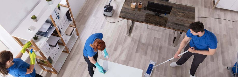 Tricity Cleaners Cover Image