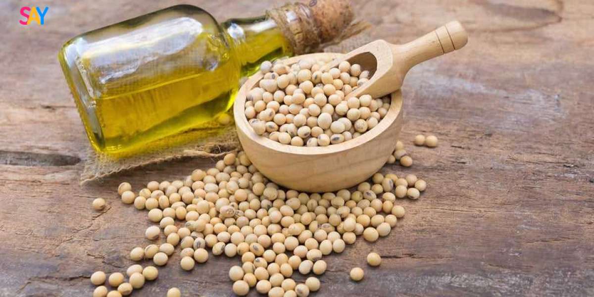 Lecithin Manufacturing Plant Setup 2025 - Industry Analysis and Investment Opportunities