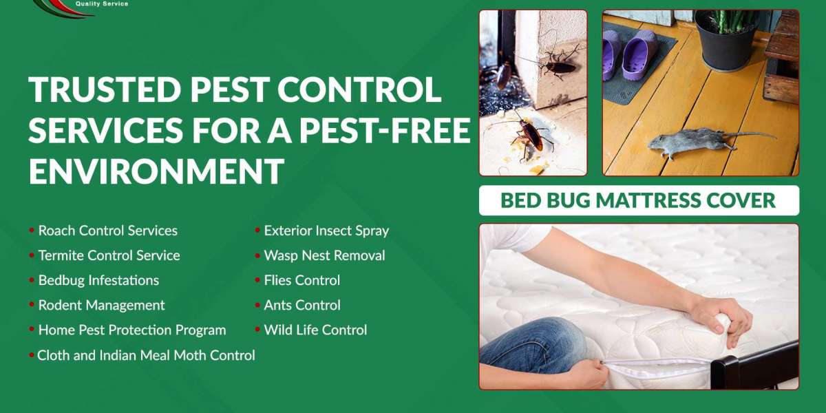 Professional Pest Control Guelph – Safe, Reliable & Effective Solutions