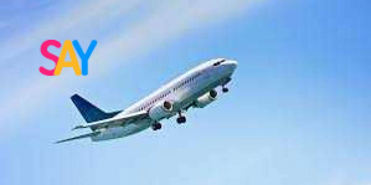 Why IIAE Delhi is the Key to Understanding Aircraft Maintenance