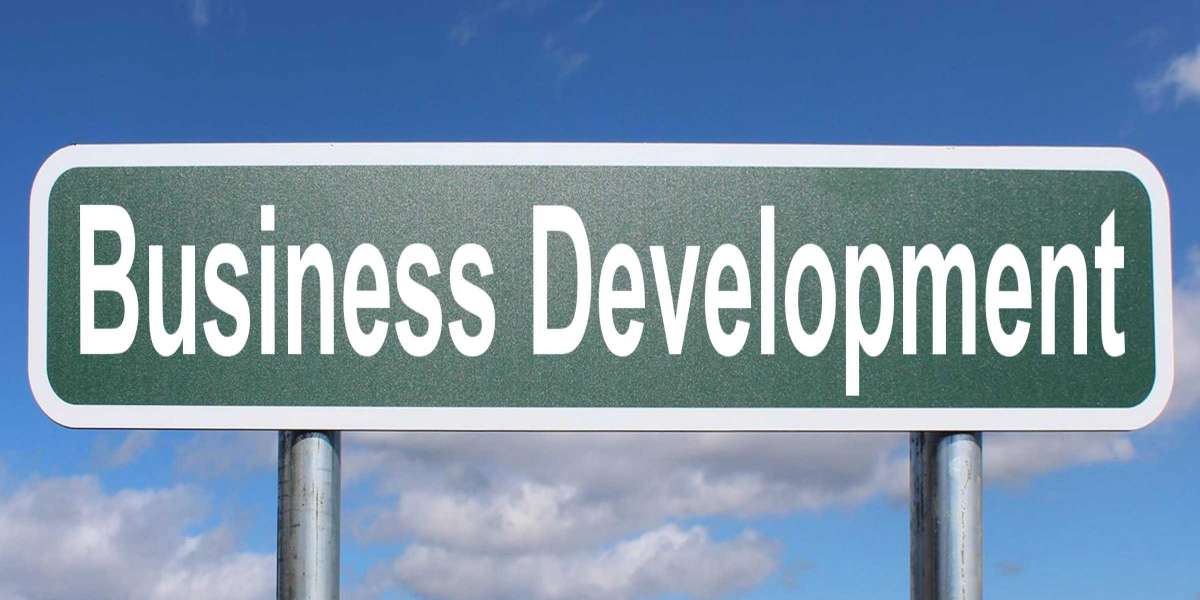 How to Create a Scalable Business Development Plan