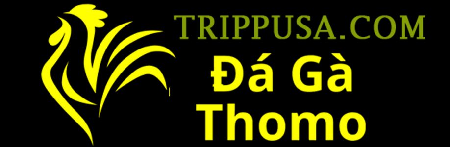 Đá Gà Trực Tiếp Thomo Cover Image