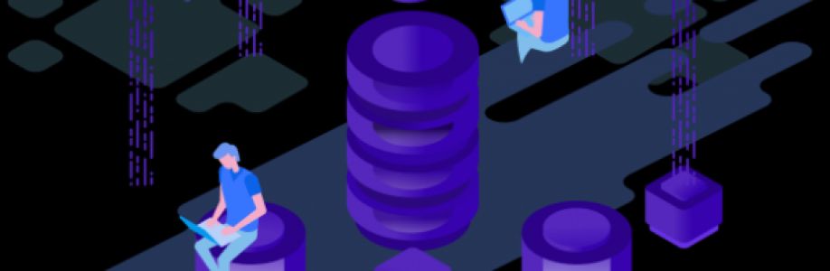 VNBTC com Cover Image