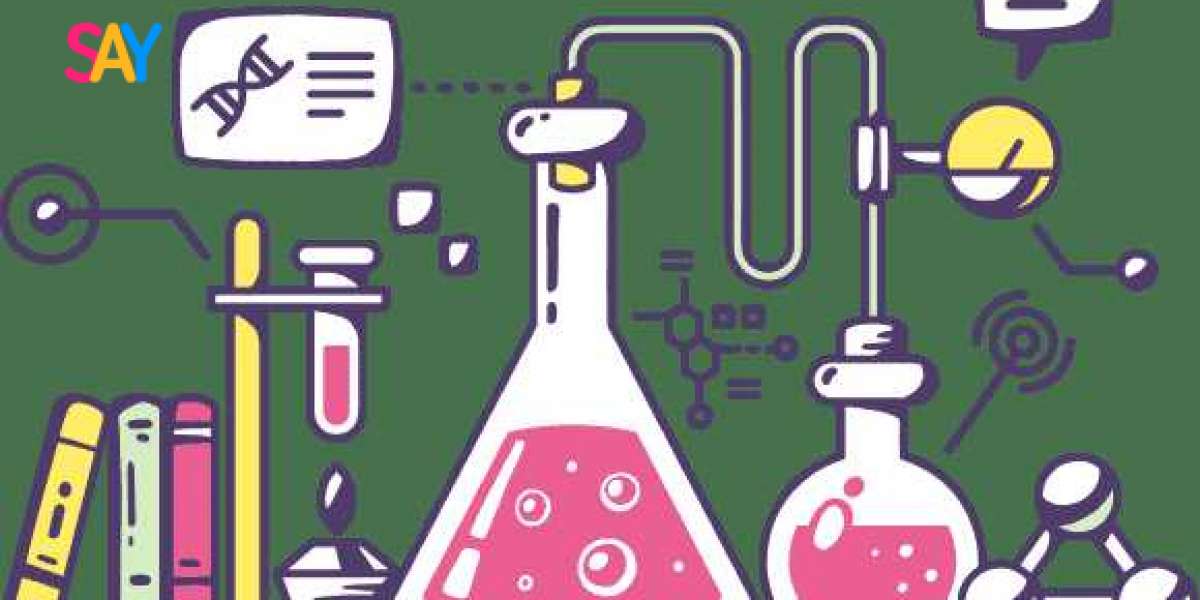Key Halal Standards Every Manufacturer Should Be Aware Of