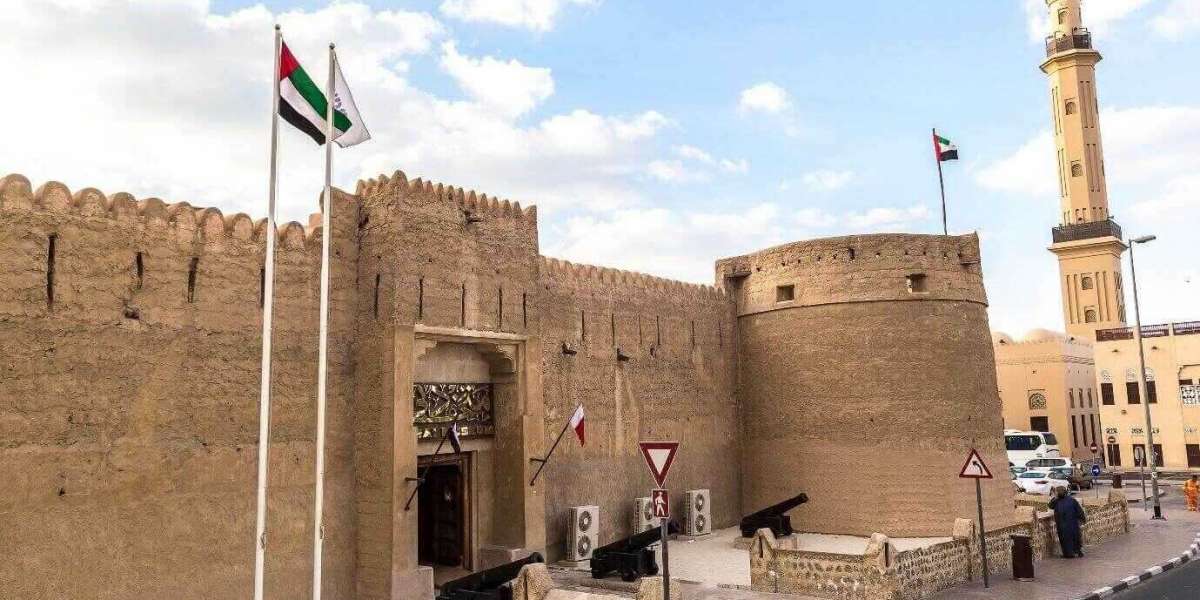 Safari Dubai Tours