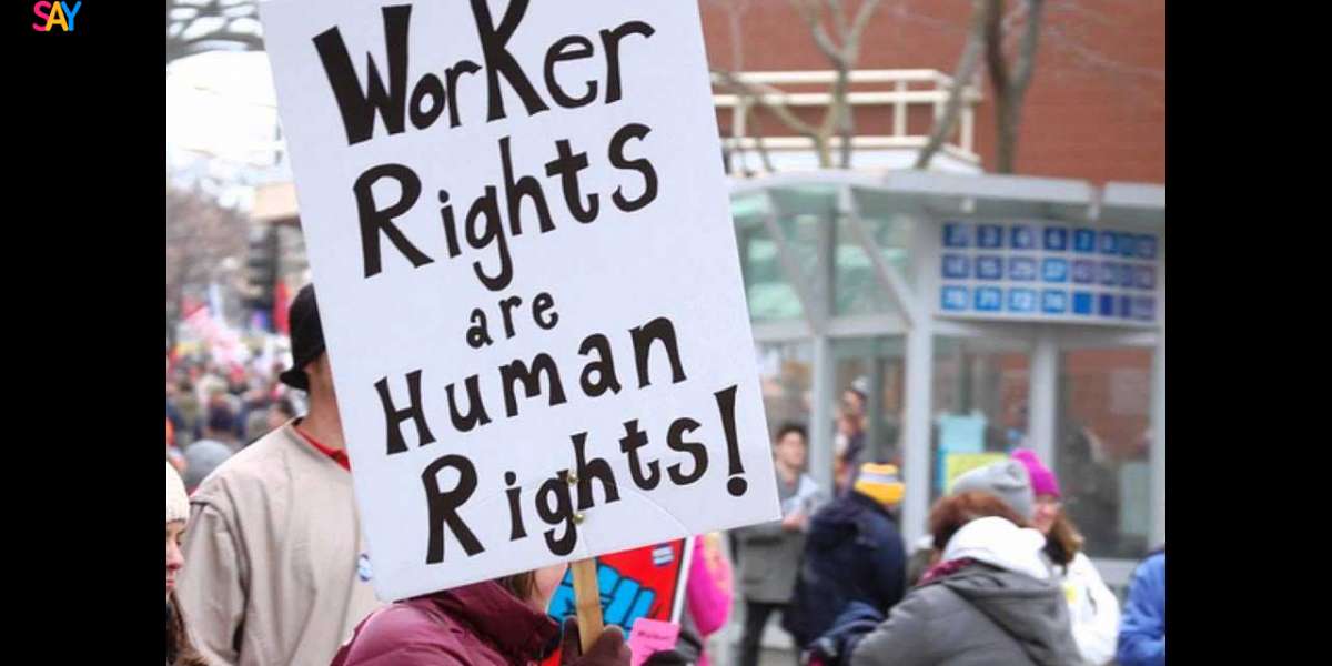 Protect Your Future with Immigration Solicitors4me: Expert Human Rights Claims Guidance in the UK