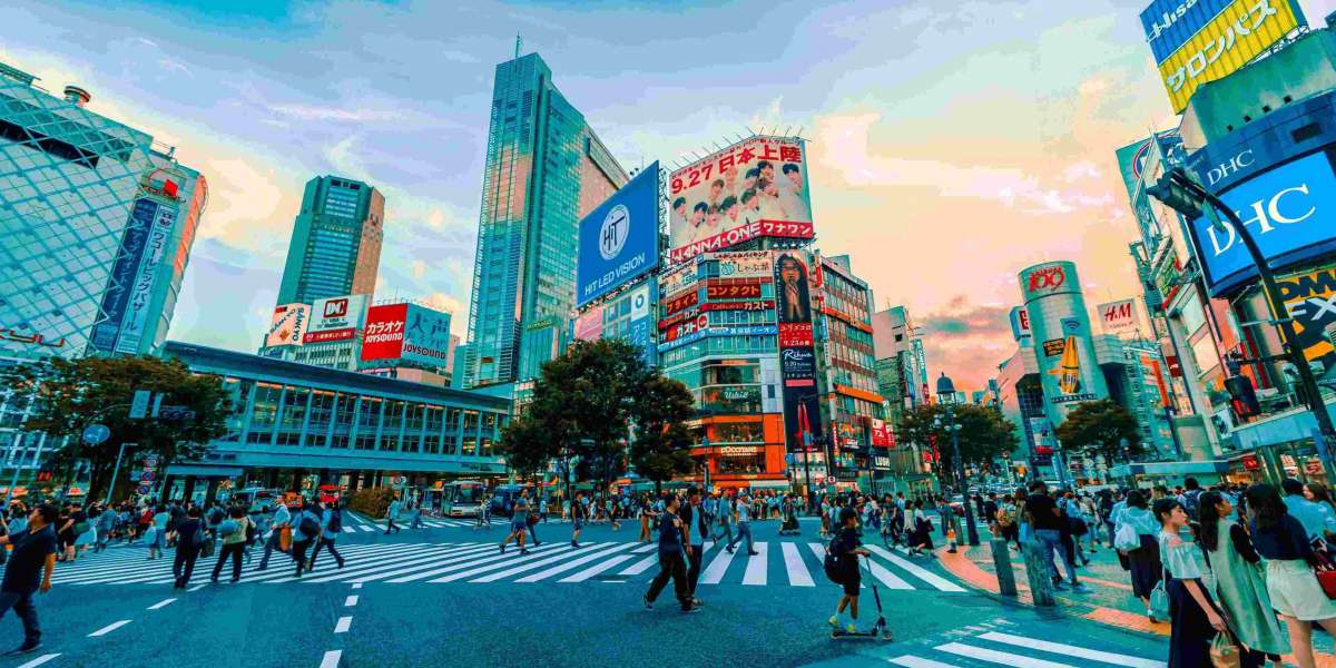 Explore Kamakura: Scenic Tours with Expert Chauffeurs