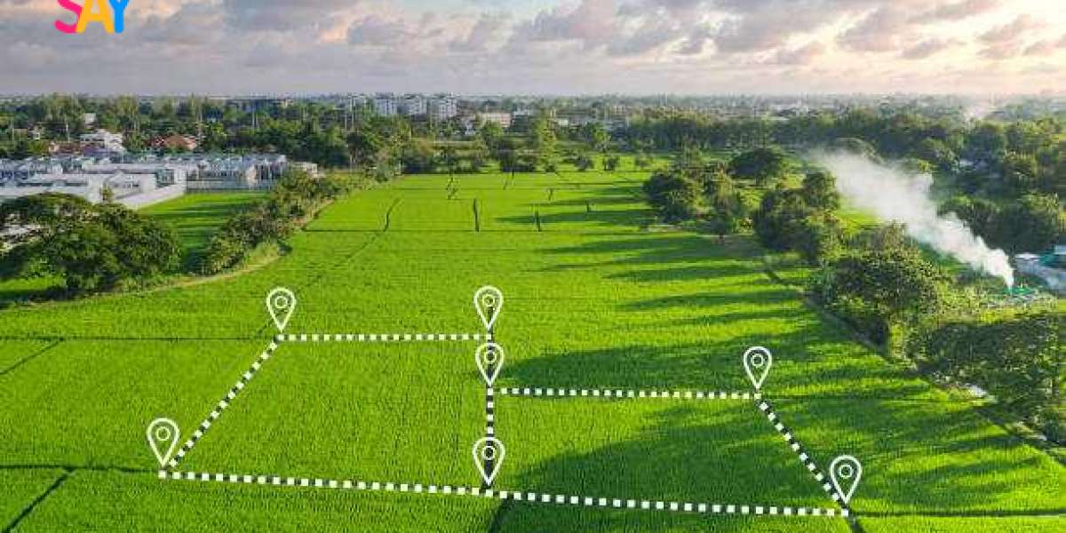Land Buyers in USA: How Michigan Landowners Can Get Noticed